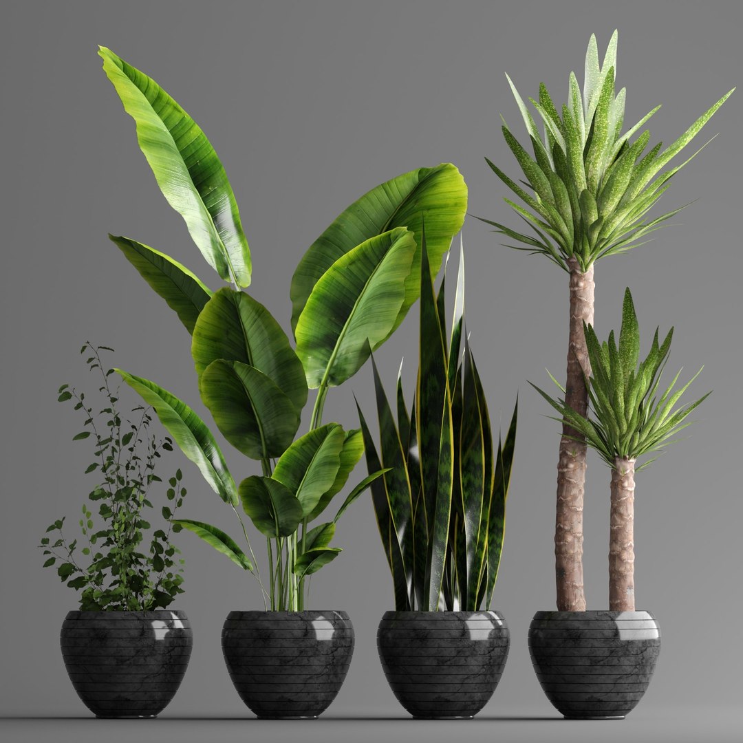 3D Plant Set - TurboSquid 2050098