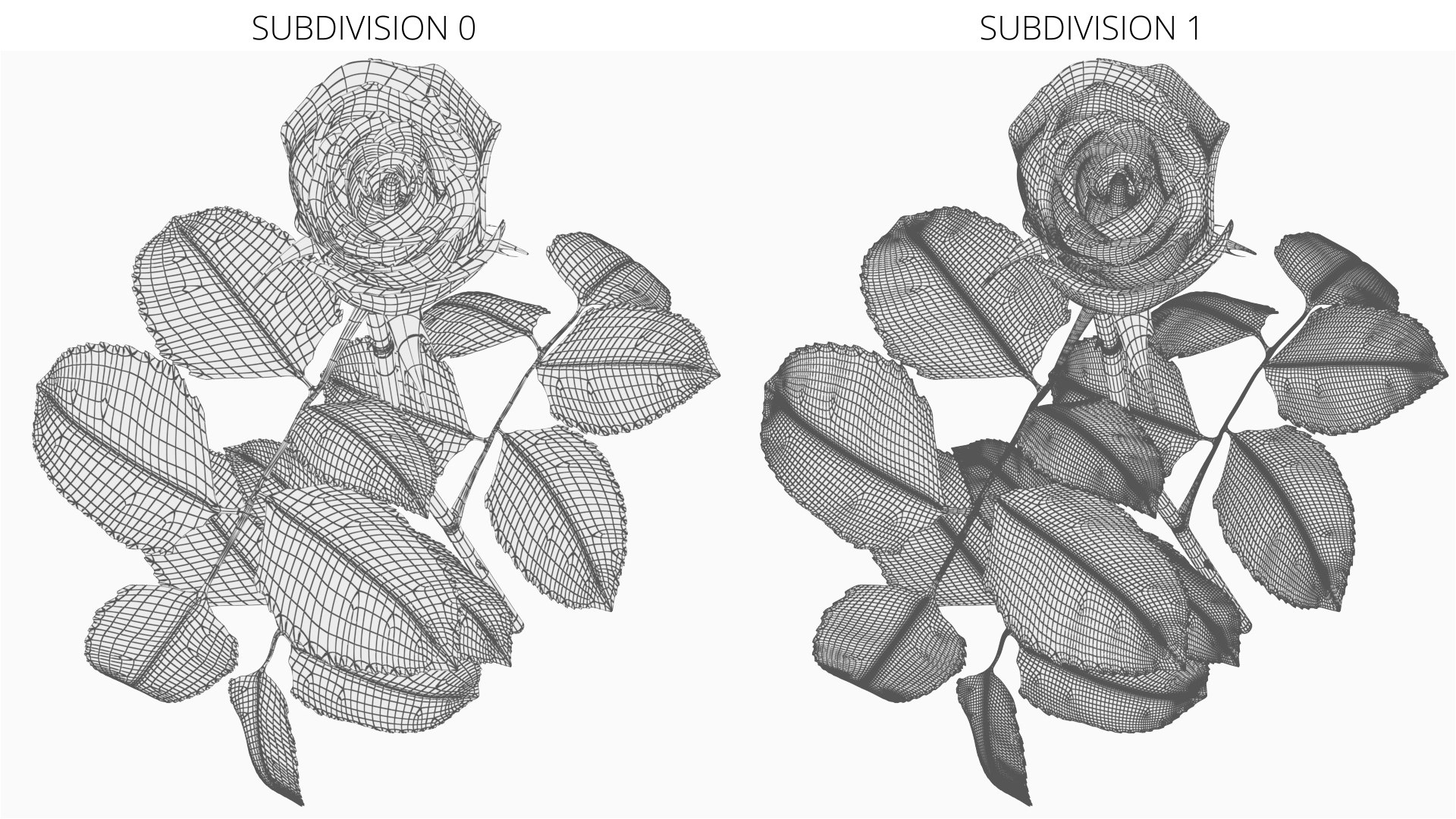 Rose Blooming Animated Rigged For Maya 3D Model - TurboSquid 2549044