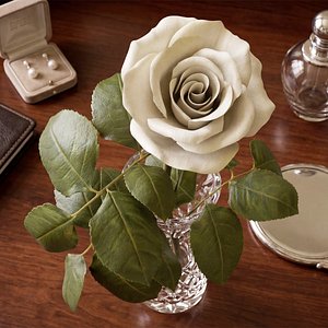 Rose Blooming Animated Rigged For Maya 3D model