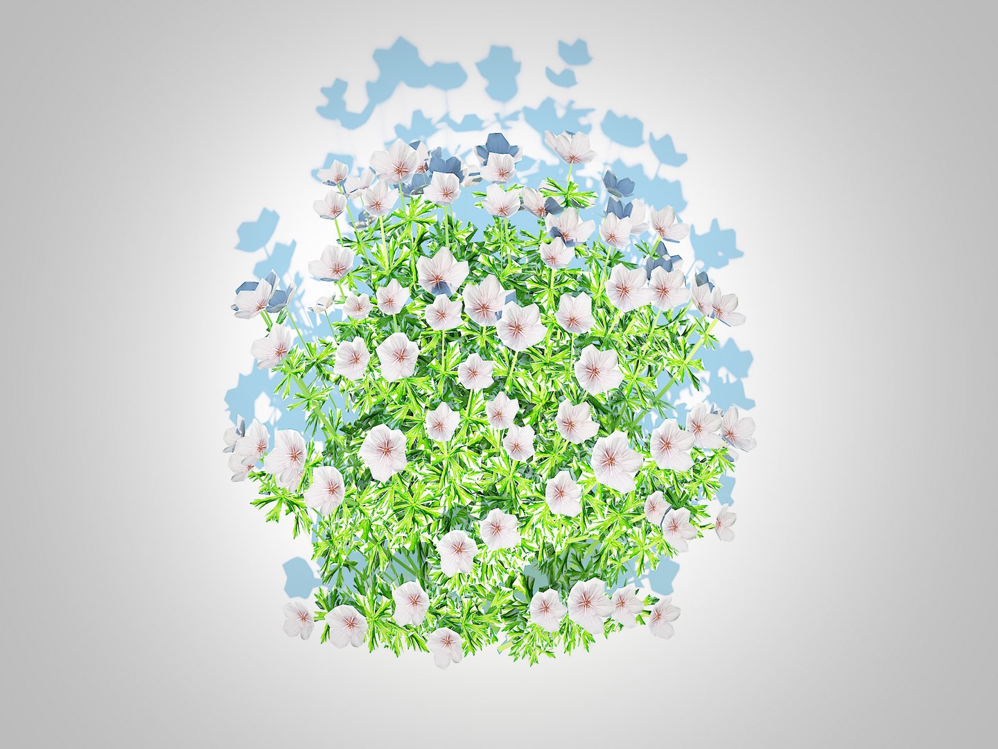 Geranium - white cranesbill 3D https://p.turbosquid.com/ts-thumb/ma/DspM98/rJ/5/jpg/1731408228/1920x1080/fit_q87/eb47cab737a074d5fdad9d2088863cb2abbe8774/5.jpg