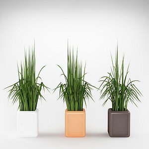 3d plant flowerpot max8