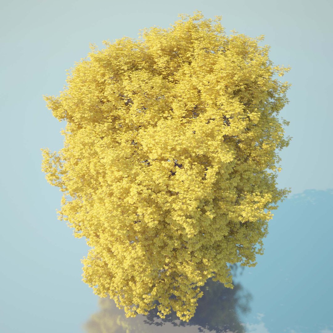 tree chestnut obj https://p.turbosquid.com/ts-thumb/ma/S1n0i2/HL36Nt7m/horse_chestnut_92_autumn/jpg/1428014411/1920x1080/fit_q87/85887ee7392dc9c7a89a52a4a5d3be1b2ed31629/horse_chestnut_92_autumn.jpg