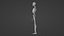 Female Skeleton For Artists