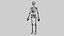 Female Skeleton For Artists