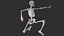 Female Skeleton For Artists