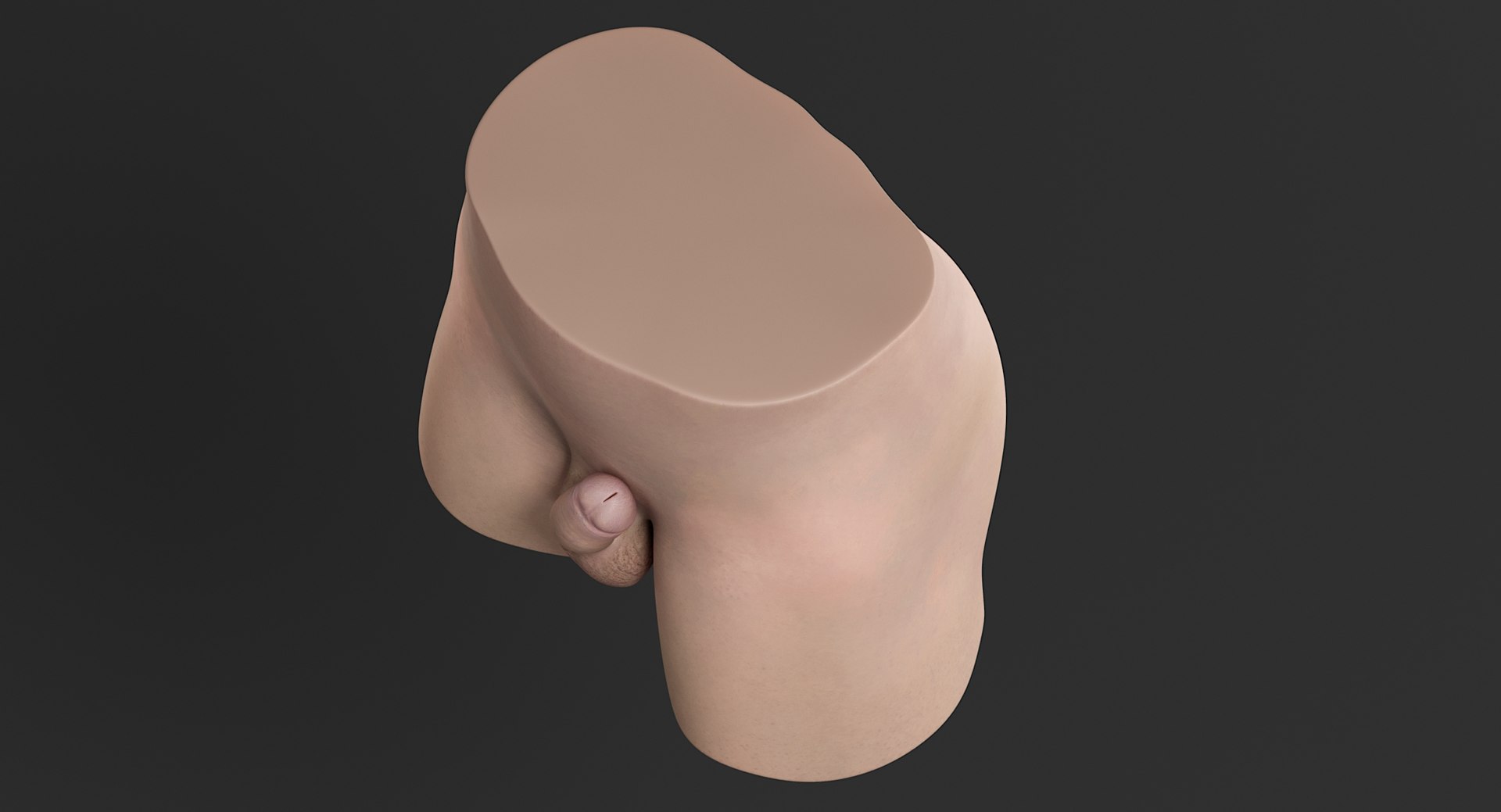 male genitals genitlas 3D model https://p.turbosquid.com/ts-thumb/ma/gP1Dby/5mbvgOiD/_view09/jpg/1546851502/1920x1080/fit_q87/419b7c832bdc53041243d3c0b25b88ccb9401363/_view09.jpg