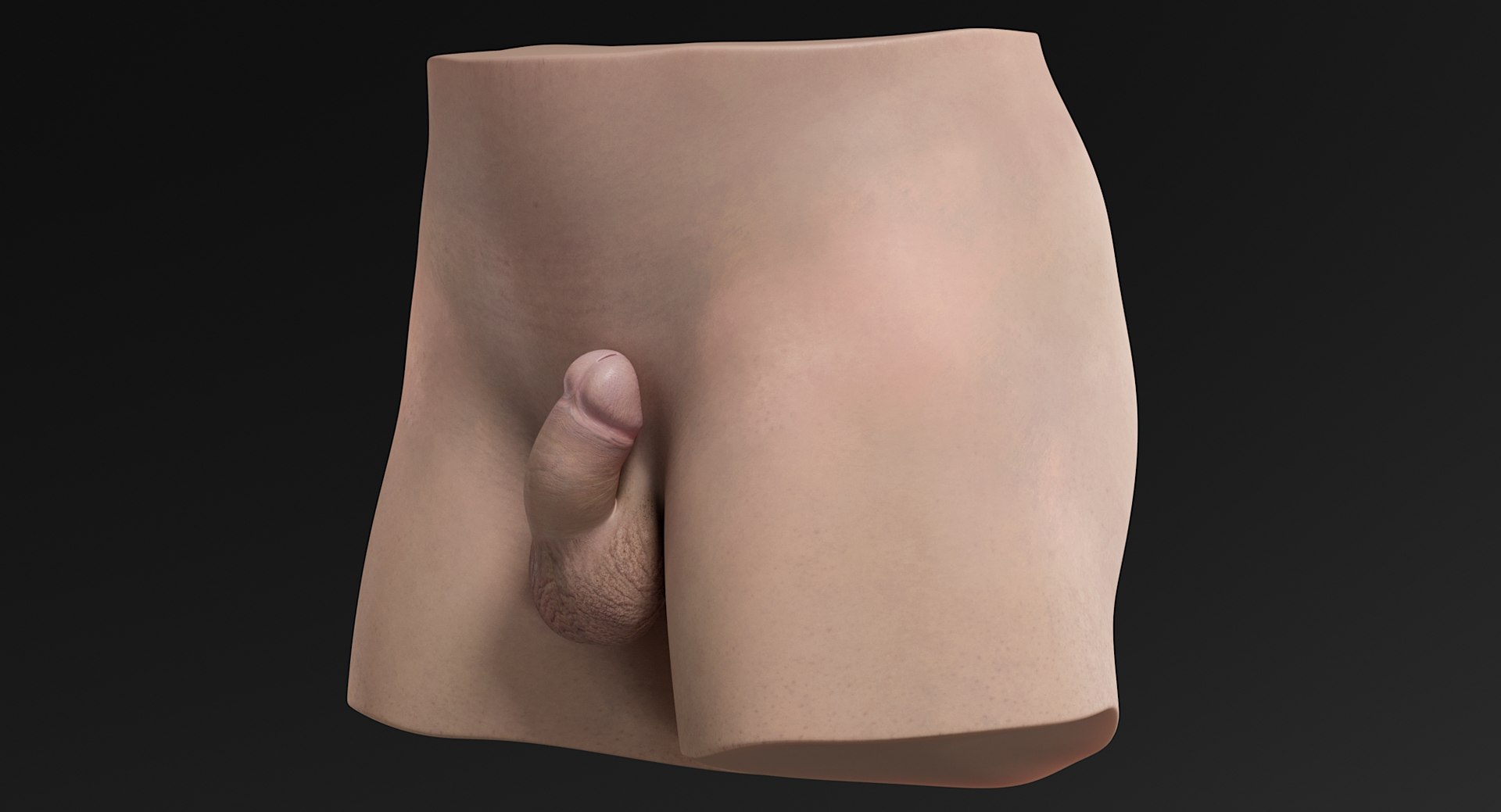 male genitals genitlas 3D model https://p.turbosquid.com/ts-thumb/ma/gP1Dby/EKPLee7o/_view06/jpg/1546851502/1920x1080/fit_q87/0c79913efc83e4caecbc592d97cbe76ef4a63c91/_view06.jpg