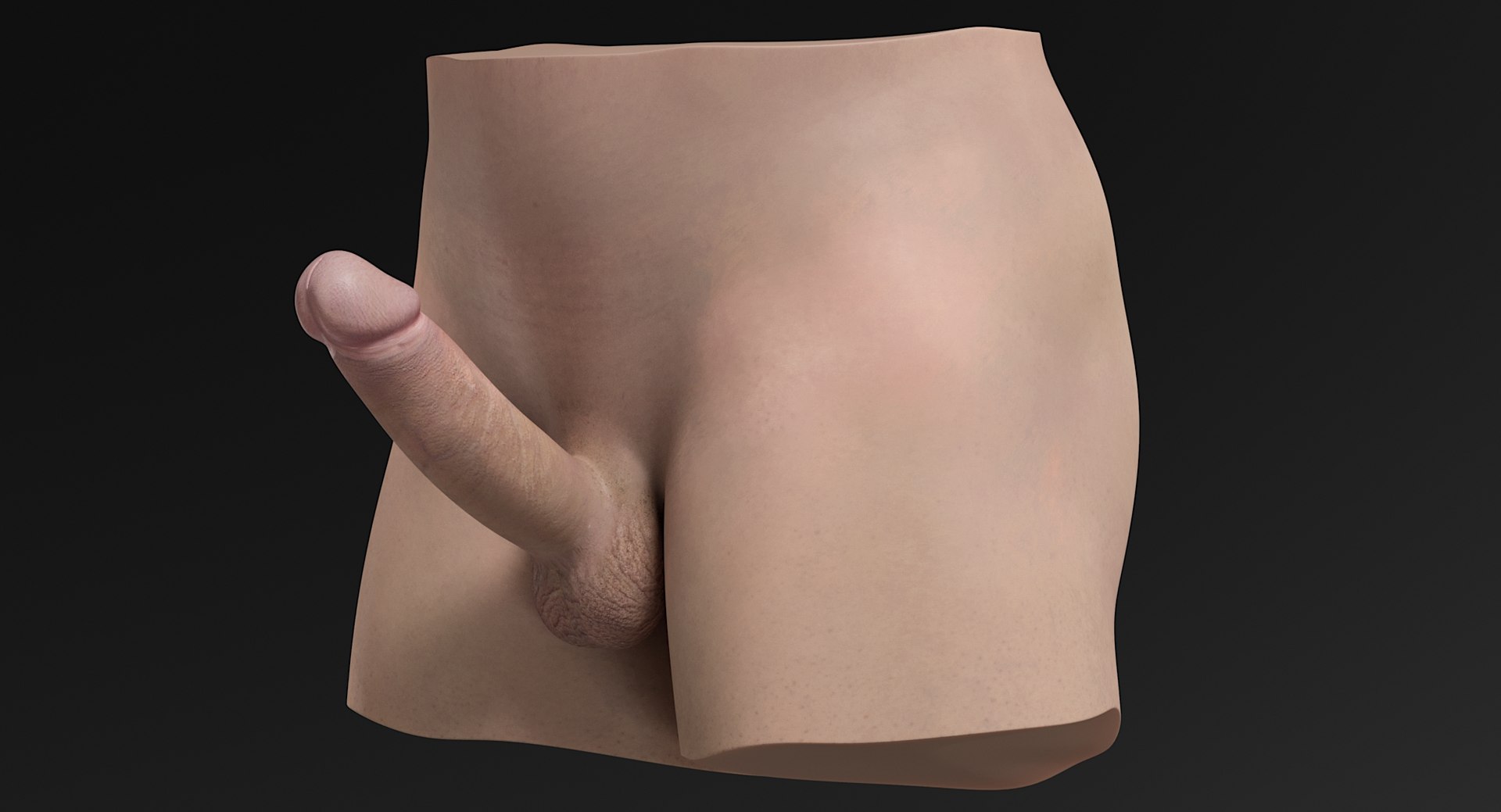 male genitals genitlas 3D model https://p.turbosquid.com/ts-thumb/ma/gP1Dby/kmbjAk7b/_view06/jpg/1546860415/1920x1080/fit_q87/526addd8dbe73134c49ef955e4a15fa6452b0e46/_view06.jpg