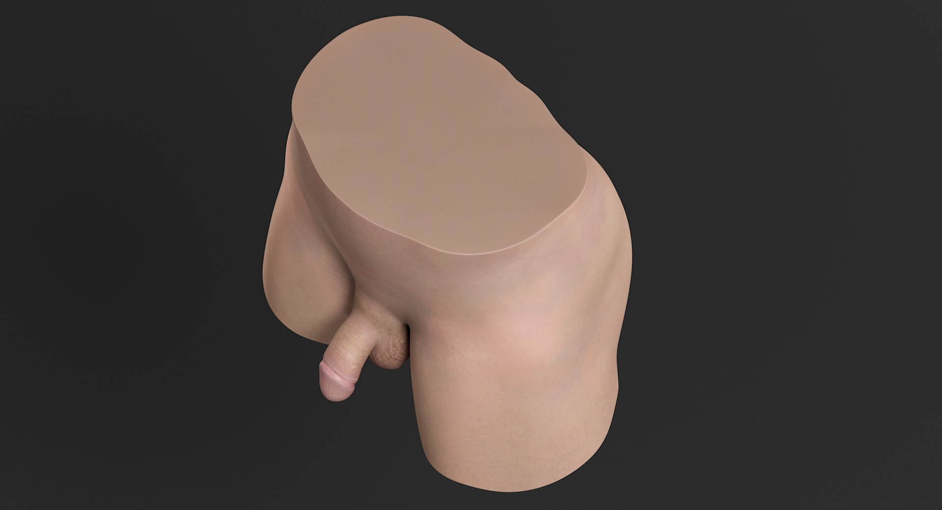 male genitals genitlas 3D model https://p.turbosquid.com/ts-thumb/ma/gP1Dby/qbt4YrFd/_view09/jpg/1546851965/1920x1080/fit_q87/433786a6a56d39eaddb258ca10ca30788ee3b667/_view09.jpg