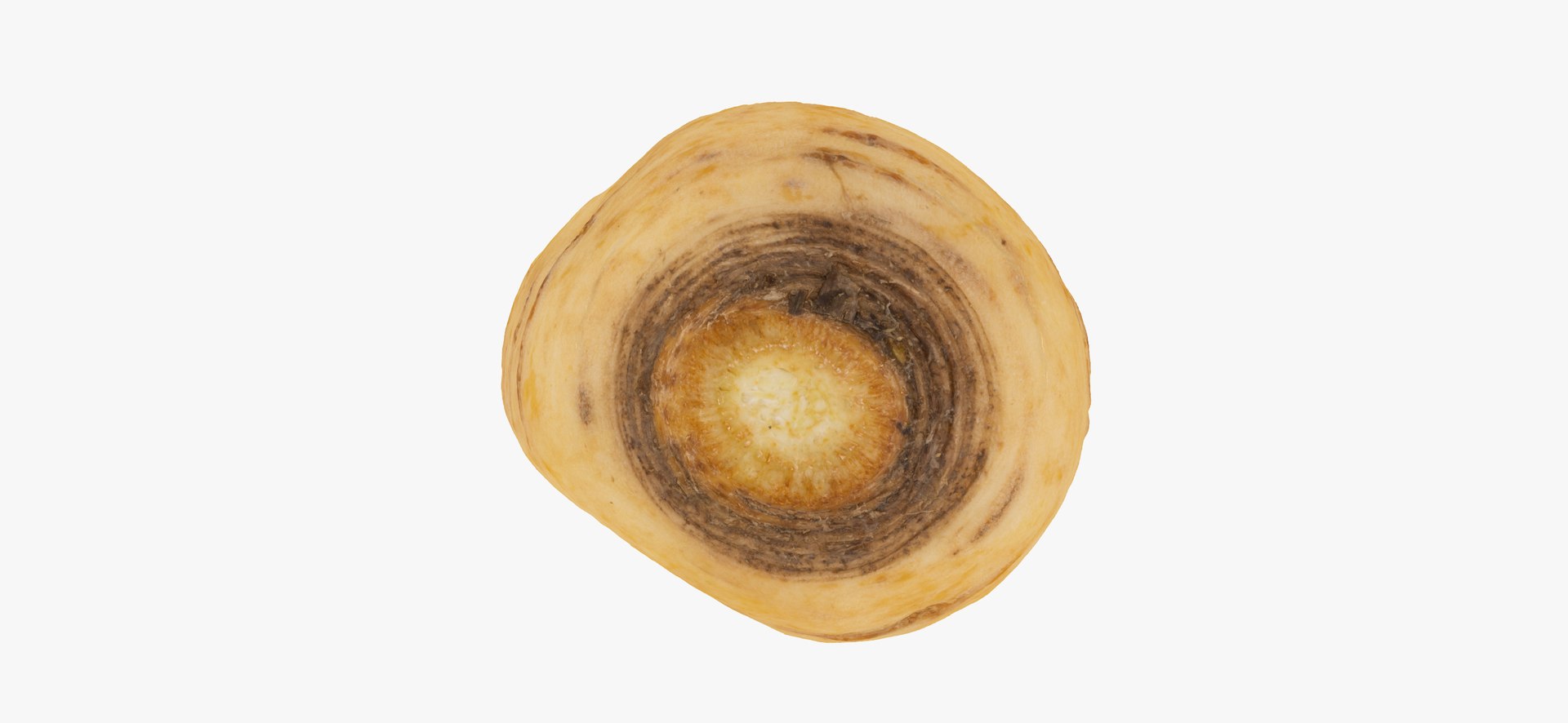 parsnip 03 raw scan 3D https://p.turbosquid.com/ts-thumb/ma/hTb6H3/7mXQ6lFF/parsnip03thumbnail09/jpg/1608038426/1920x1080/fit_q87/2088de29ccca3ec048190db7b5e5d42de1a90c83/parsnip03thumbnail09.jpg