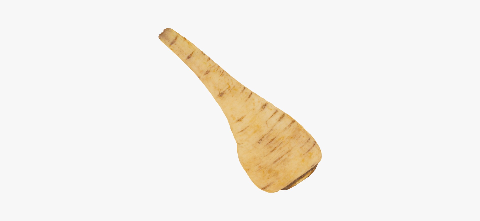 parsnip 03 raw scan 3D https://p.turbosquid.com/ts-thumb/ma/hTb6H3/K86oMZt8/parsnip03thumbnail04/jpg/1608038425/1920x1080/fit_q87/2c9d2286831ee837b7865a08f96f4846ce21778d/parsnip03thumbnail04.jpg