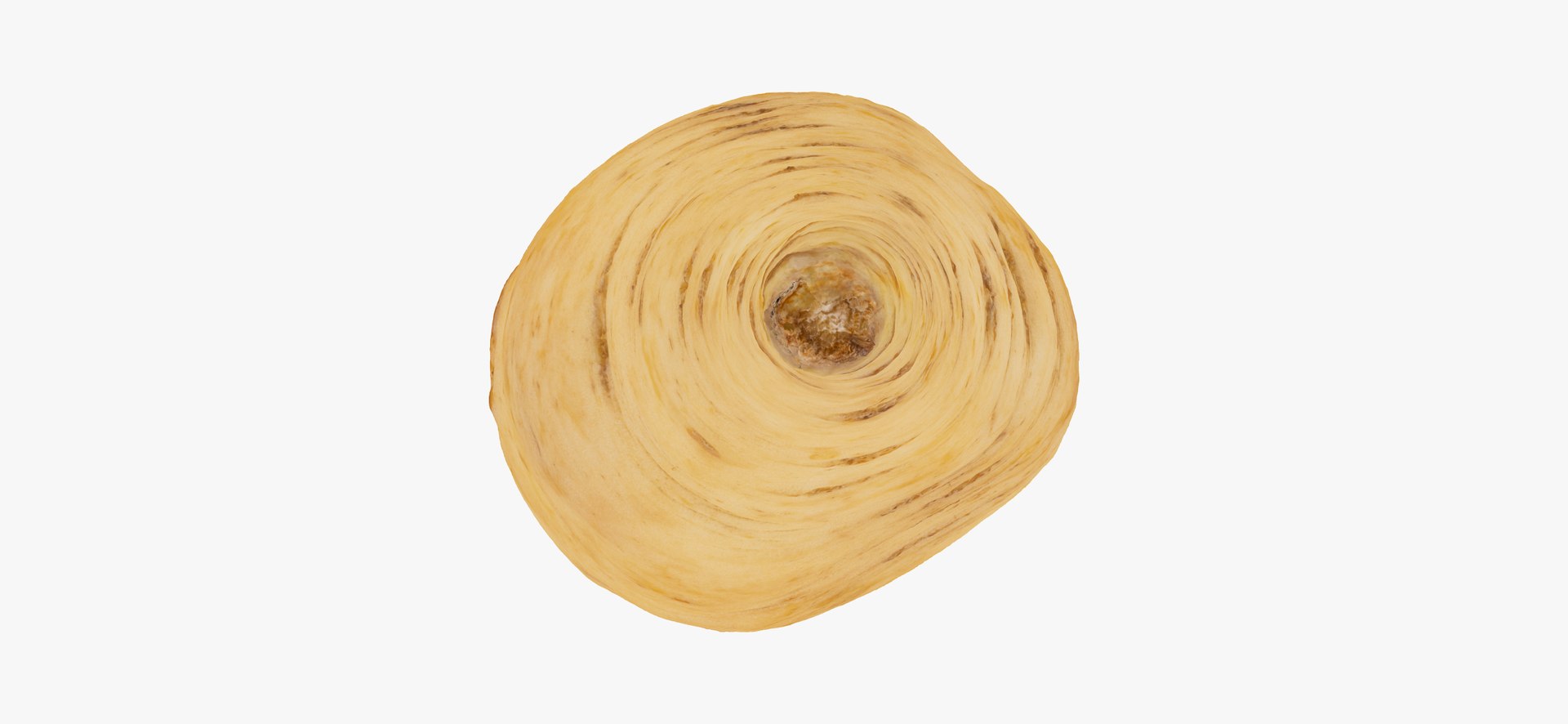 parsnip 03 raw scan 3D https://p.turbosquid.com/ts-thumb/ma/hTb6H3/oFjEo2Bc/parsnip03thumbnail07/jpg/1608038425/1920x1080/fit_q87/eff04c0c91178c4c6011bad6deb281b2d8543a42/parsnip03thumbnail07.jpg