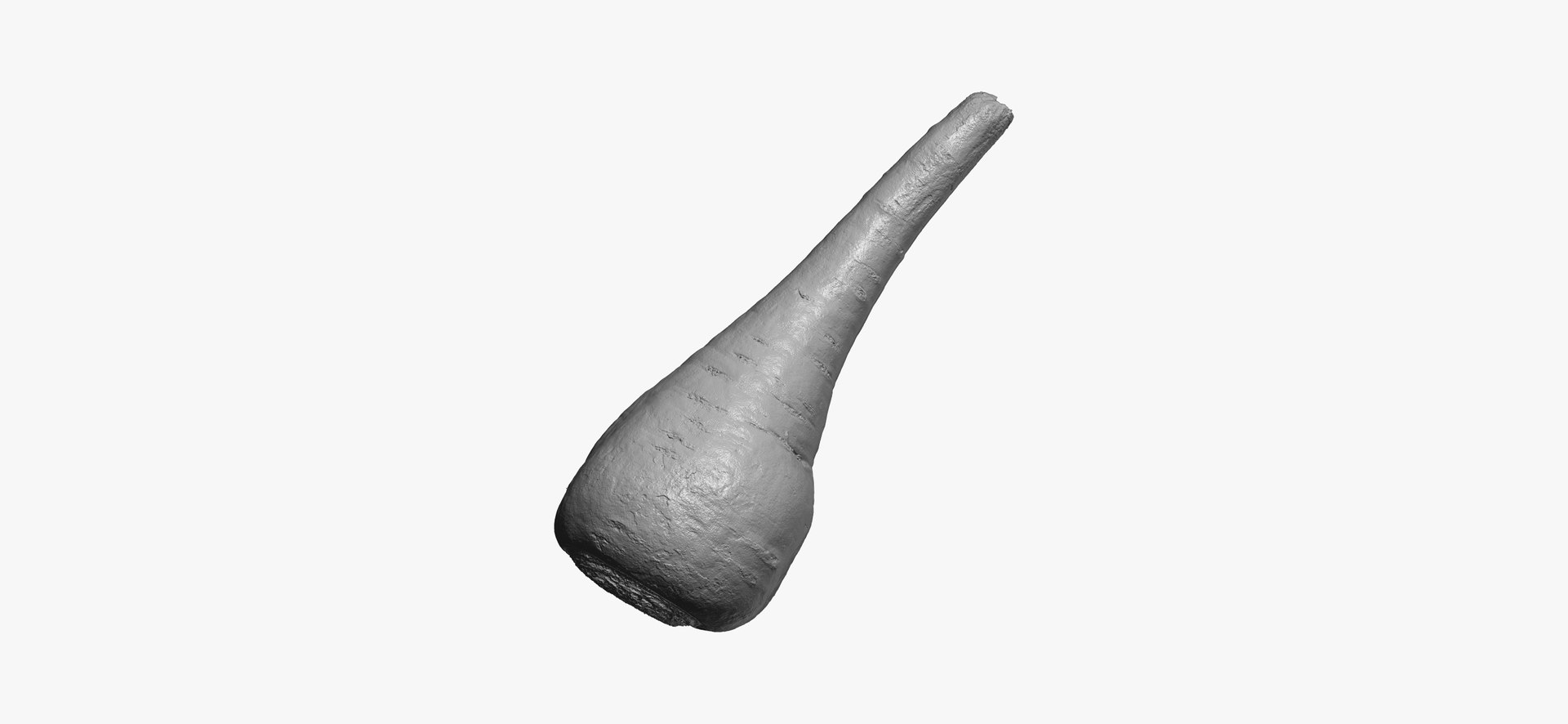 parsnip 03 raw scan 3D https://p.turbosquid.com/ts-thumb/ma/hTb6H3/ykOEn2lo/parsnip03thumbnail02/jpg/1608038425/1920x1080/fit_q87/9f054b74e4f5caf3fdb2529ba847ffaefe06b4c3/parsnip03thumbnail02.jpg
