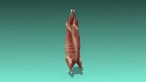 low-poly meat 3D model
