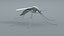 3D Mosquito Xgen