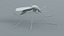 3D Mosquito Xgen