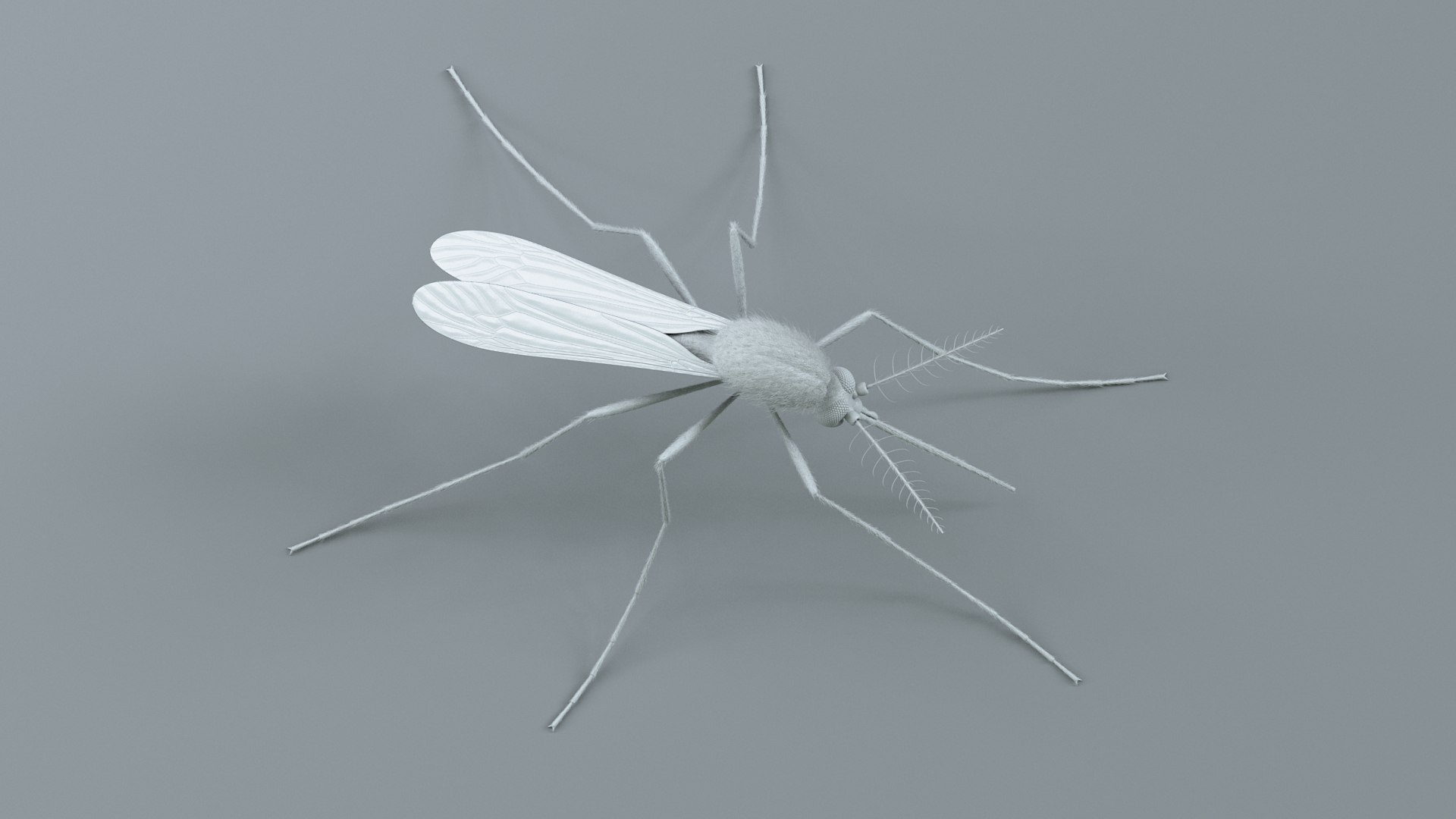 3D Mosquito Xgen https://p.turbosquid.com/ts-thumb/ma/xDnudS/Mk/mosquito_static_19/jpg/1744185616/1920x1080/fit_q87/004e1297036869db069cd7eff4c4a9a1fdcaacb2/mosquito_static_19.jpg