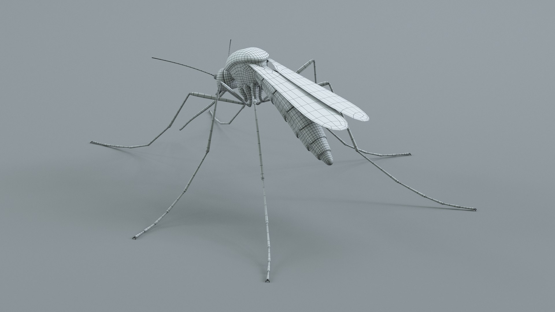 3D Mosquito Xgen https://p.turbosquid.com/ts-thumb/ma/xDnudS/NP/mosquito_static_23/jpg/1744185621/1920x1080/fit_q87/d66c15ccbbbf6aad7e90fde27bb9ed57c2900f23/mosquito_static_23.jpg