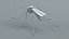3D Mosquito Xgen