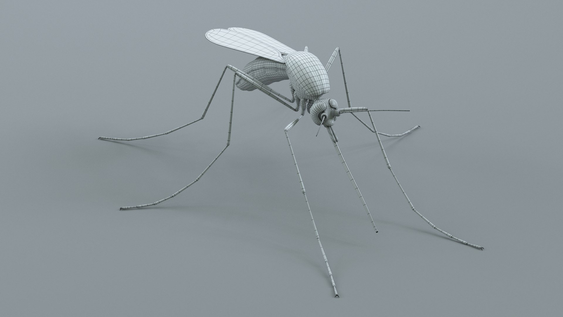 3D Mosquito Xgen https://p.turbosquid.com/ts-thumb/ma/xDnudS/Pl/mosquito_static_26/jpg/1744185624/1920x1080/fit_q87/3189122a76d45778edf58c42f9ca9669afaf771c/mosquito_static_26.jpg