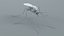 3D Mosquito Xgen