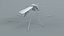 3D Mosquito Xgen