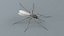 3D Mosquito Xgen