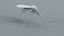 3D Mosquito Xgen