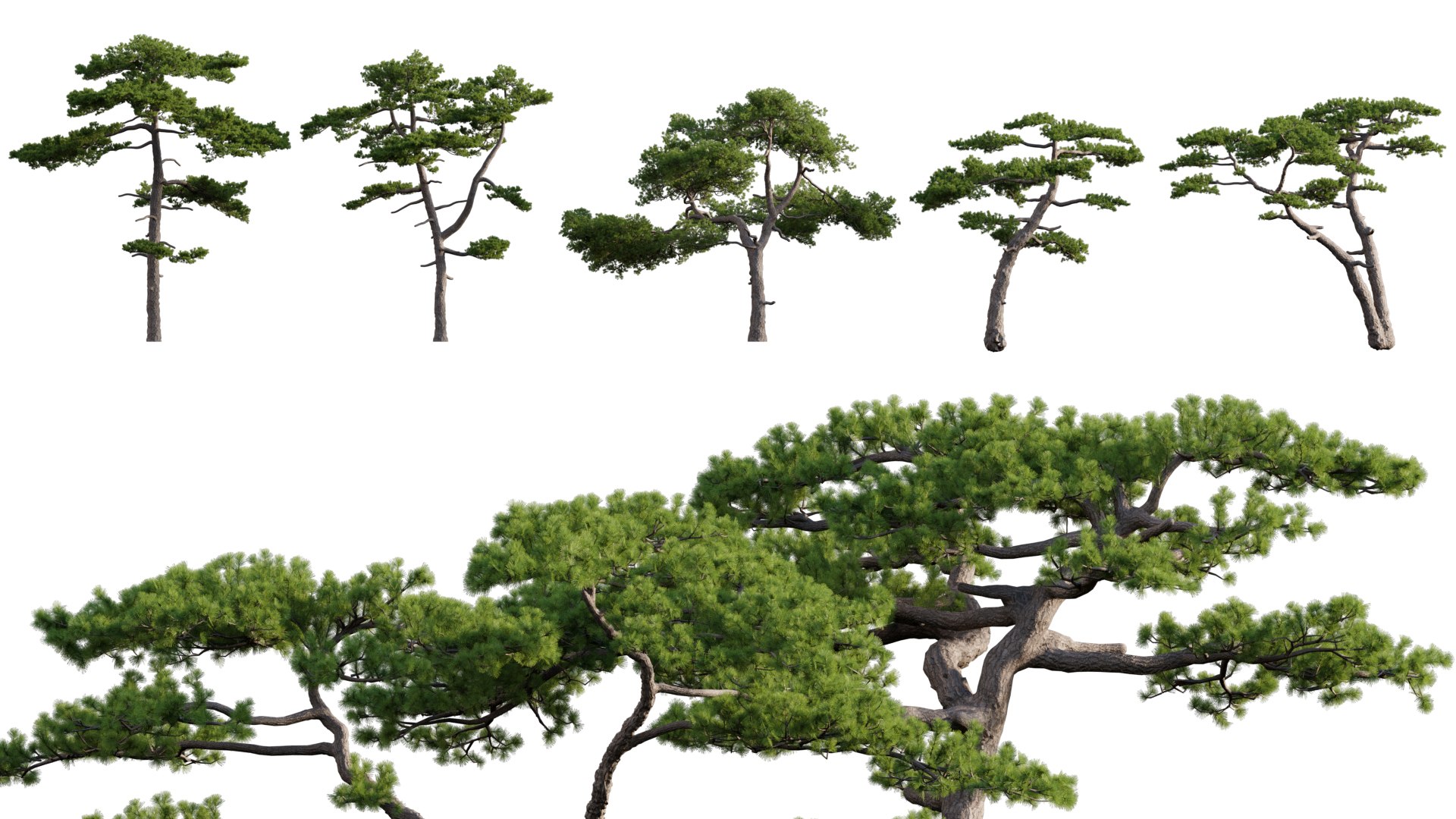 Bundle 24 - Japanese Garden Model - TurboSquid 1955950
