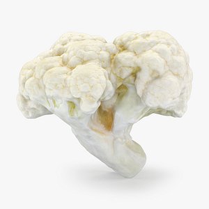 Cauliflower Florets 01 3D model
