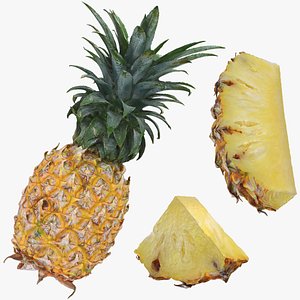 3D Pineapple Fruit Collection model