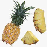 Pineapple Fruit Collection