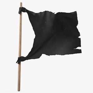 old black flag wooden 3D model
