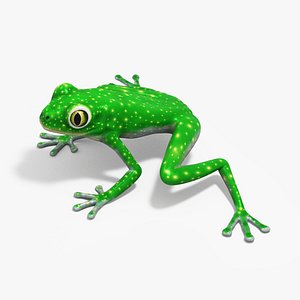 Glass Frog 3D model