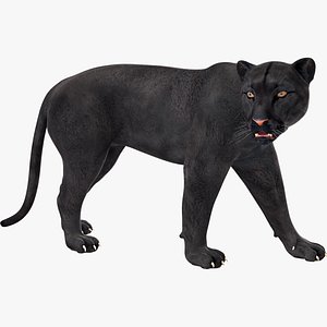 3D Black Panther Rigged for Cinema 4D model