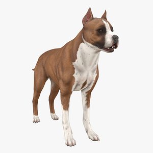 Dog Pitbull Terrier RIGGED 3D model