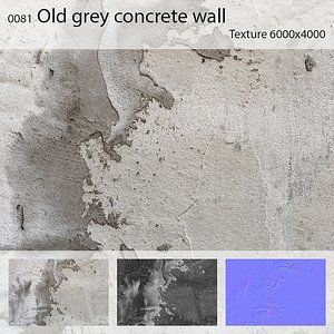 0081 Old grey concrete wall