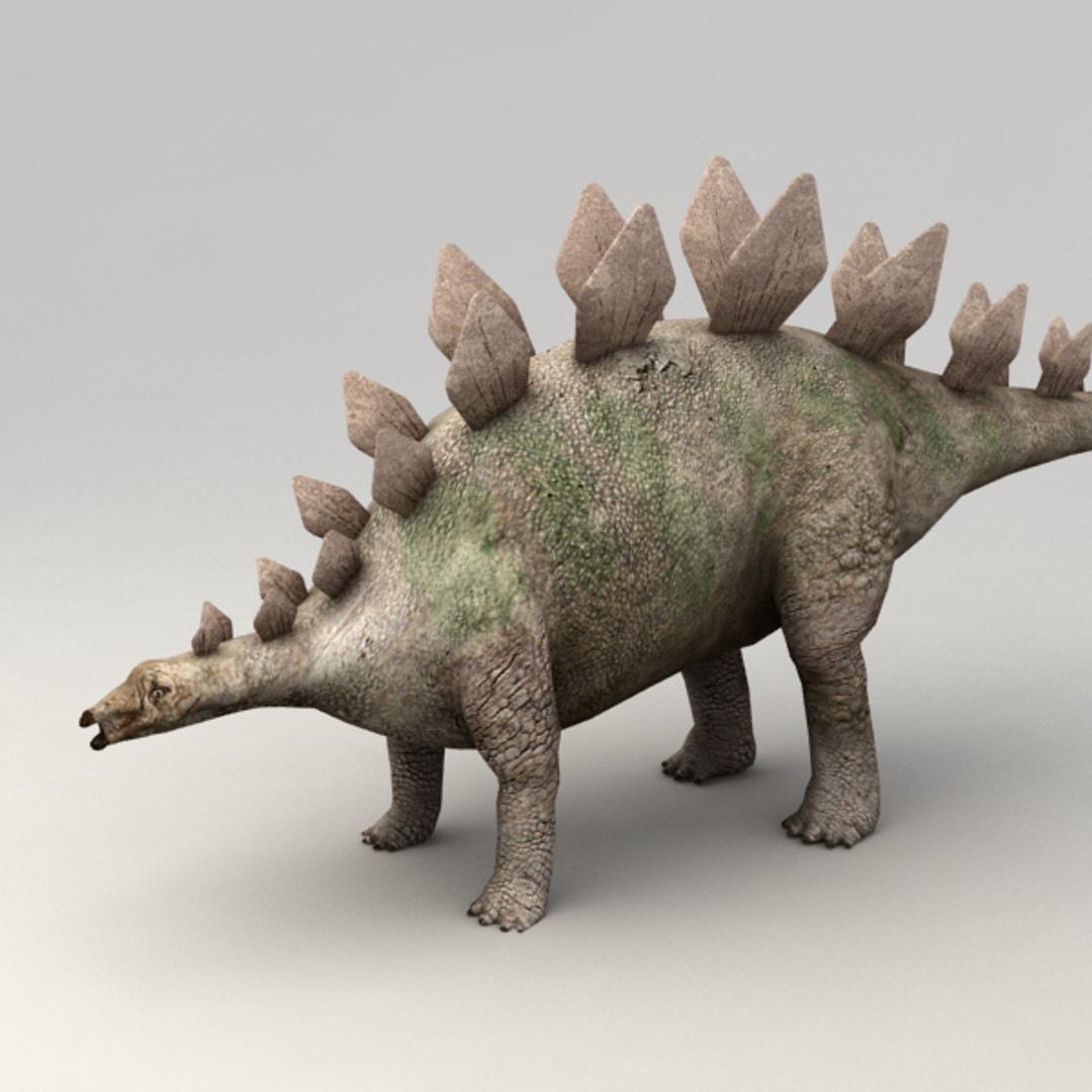 stegosaurus rigged 3d model