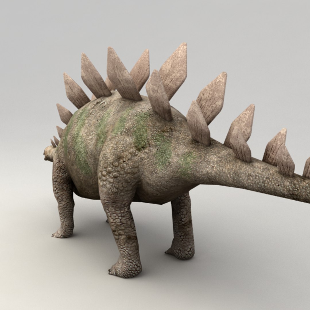stegosaurus rigged 3d model