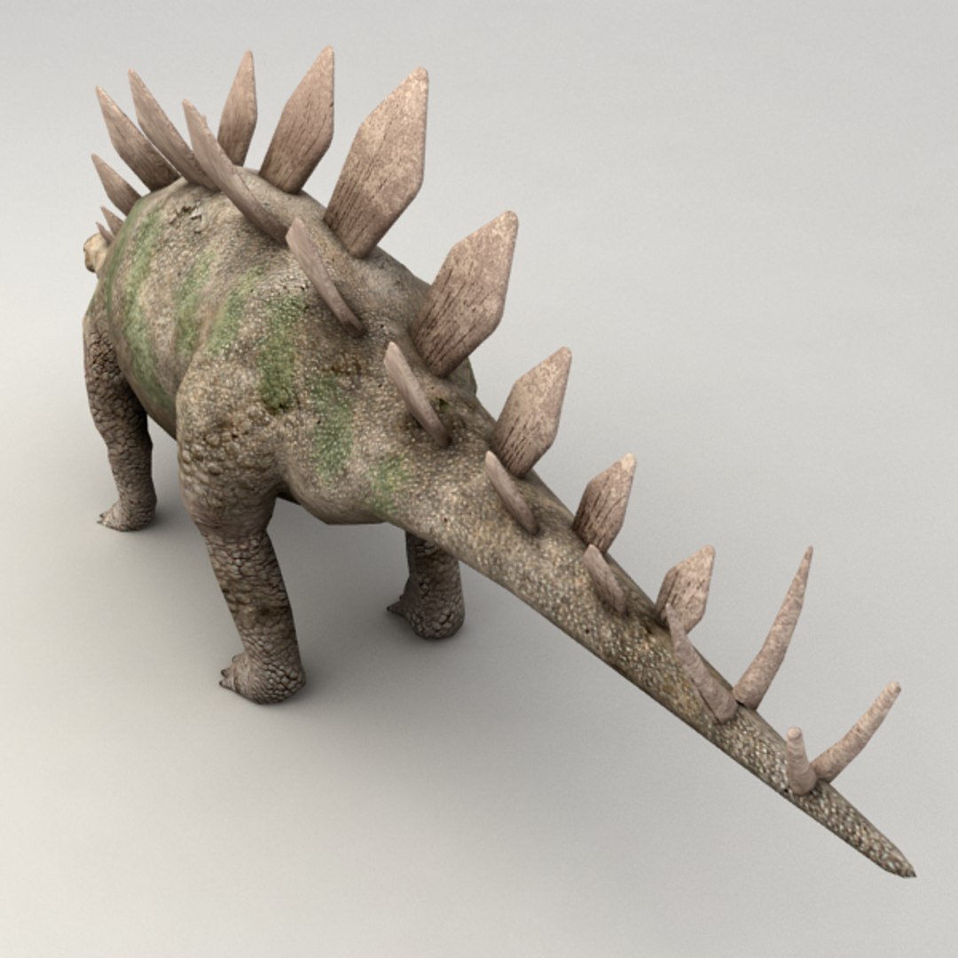 stegosaurus rigged 3d model