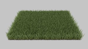 3D High Poly Grass model