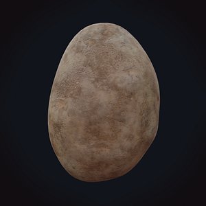 potato 1 3D model