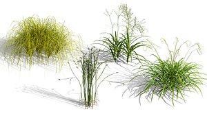 Photorealistic Ornamental Grass Pack