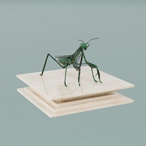 3D House Decoration Mantis Statue model