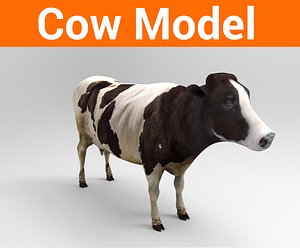3D cow cattle
