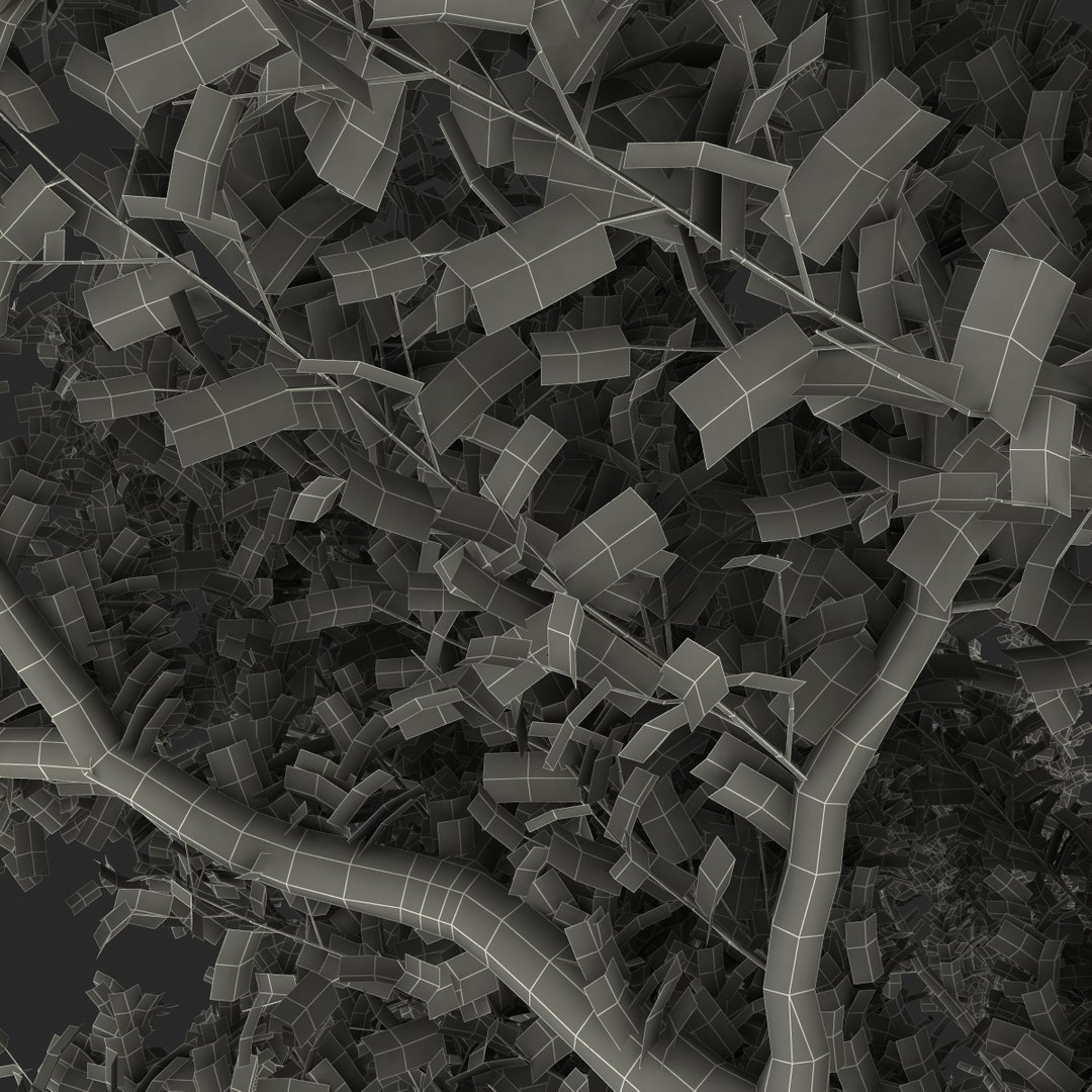 apple tree 2 3d model https://p.turbosquid.com/ts-thumb/mc/GKR1HG/AlCGn1Sc/appletree2_163/jpg/1393377637/1920x1080/fit_q87/627c99f0d6878fc65d20c26df1ac103040d2925c/appletree2_163.jpg