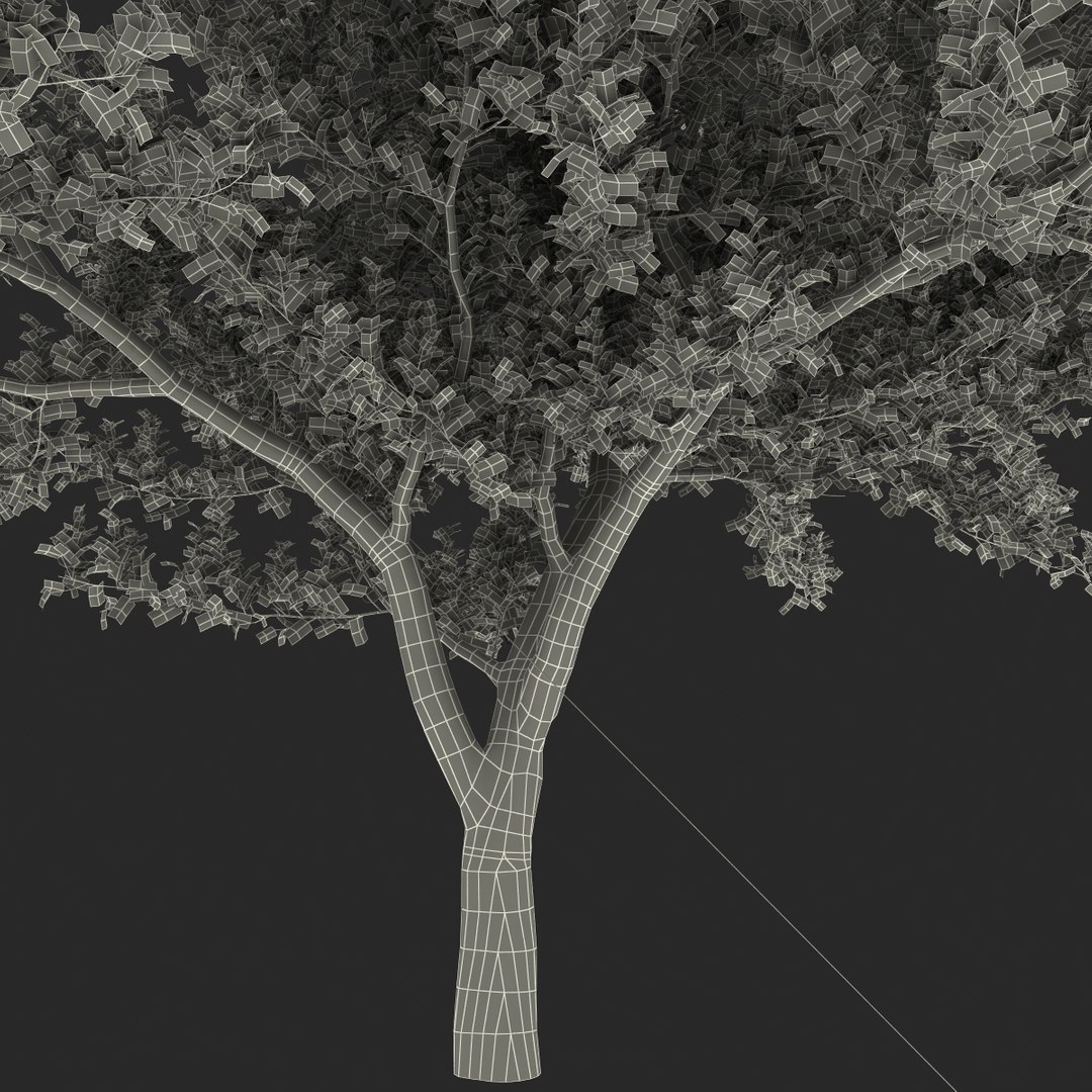 apple tree 2 3d model https://p.turbosquid.com/ts-thumb/mc/GKR1HG/PPUWZ542/appletree2_160/jpg/1393377631/1920x1080/fit_q87/dc56a0b393425bb59a232e02466f8ace79c762af/appletree2_160.jpg