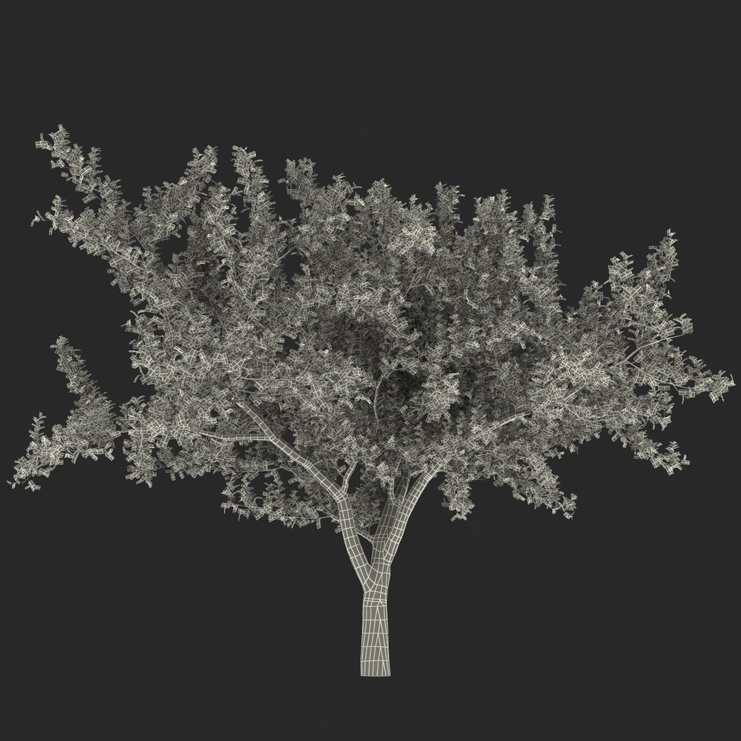 apple tree 2 3d model https://p.turbosquid.com/ts-thumb/mc/GKR1HG/pzbUdgJt/appletree2_157/jpg/1393377616/1920x1080/fit_q87/636423df198d30aec6781e2bb98d937b88704092/appletree2_157.jpg