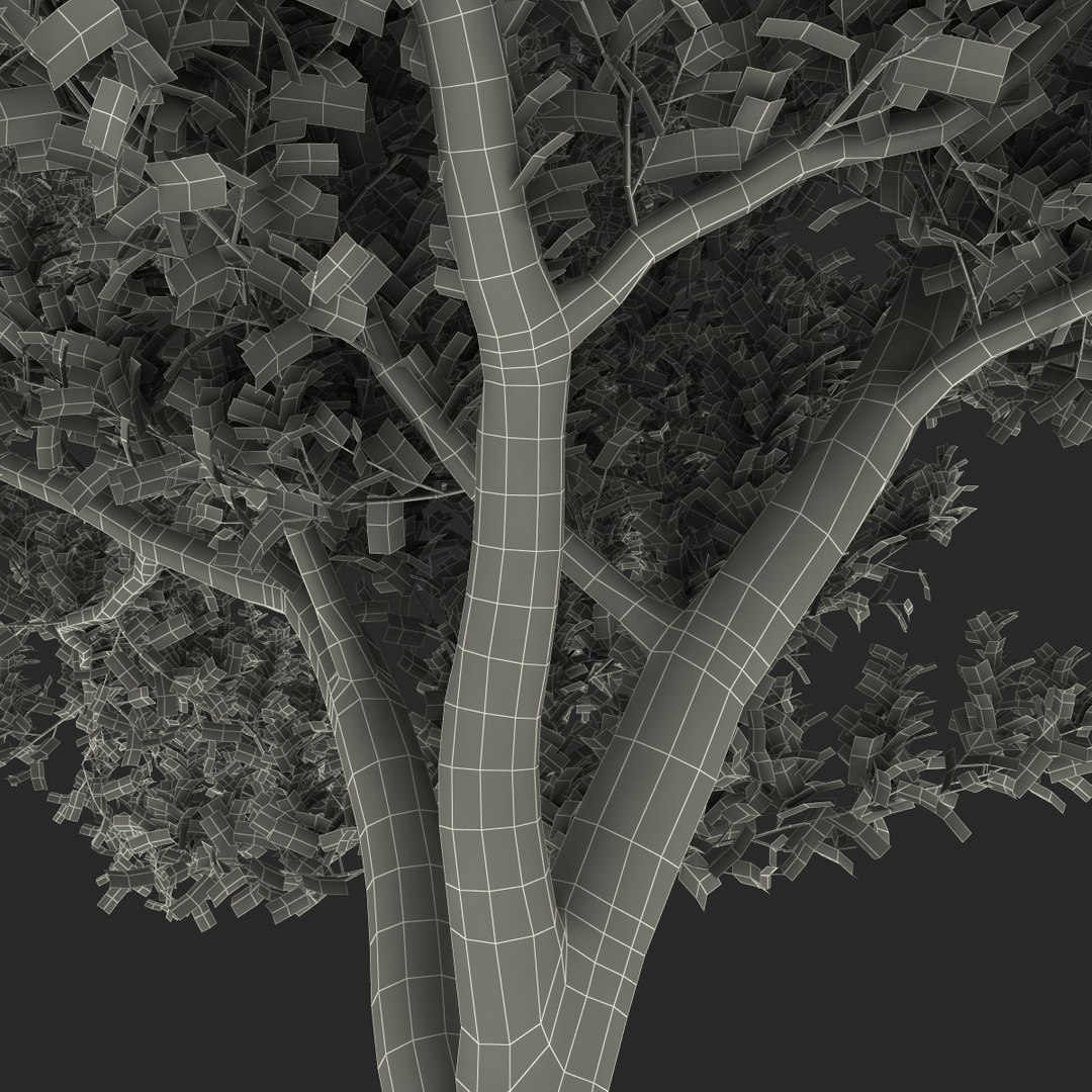 apple tree 2 3d model https://p.turbosquid.com/ts-thumb/mc/GKR1HG/vS2kHkjy/appletree2_162/jpg/1393377637/1920x1080/fit_q87/e4cfe00f6bc8a8ecca89fad4d58494af495d6ce0/appletree2_162.jpg