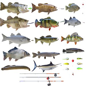 3D model fish lures carp
